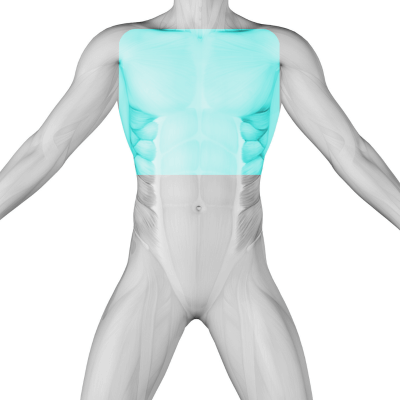 Laser Hair Removal for Men's Chest